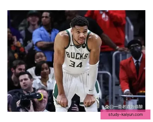 NBA明尼苏达森林狼队崛起之路与未来冠军梦想全解析新时代征程