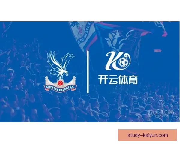 开云体育打造全新数字化体育体验平台 引领全球体育行业创新发展