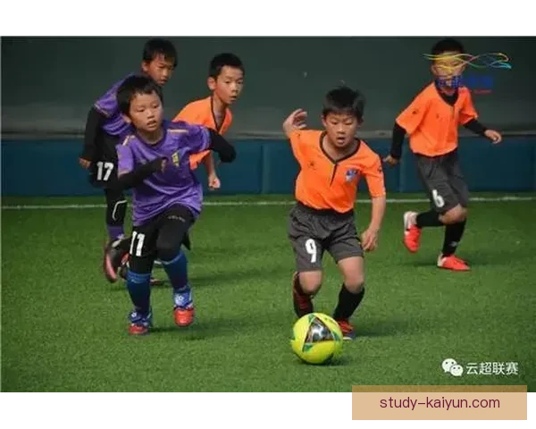 开云体育新人必看攻略全面解析助你快速上手体验精彩赛事