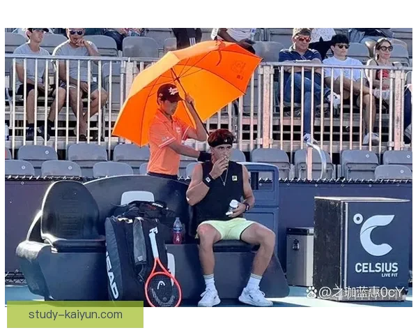 网球赛场风云再起顶尖球星鏖战引发观众热议