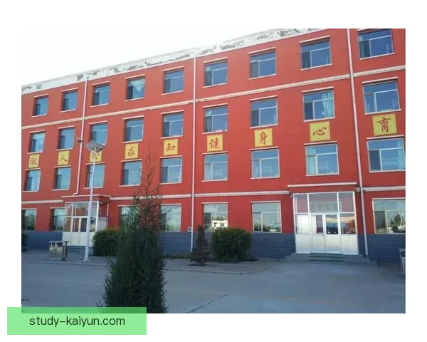 AC米兰辉煌征程揭秘与未来发展战略全景分析